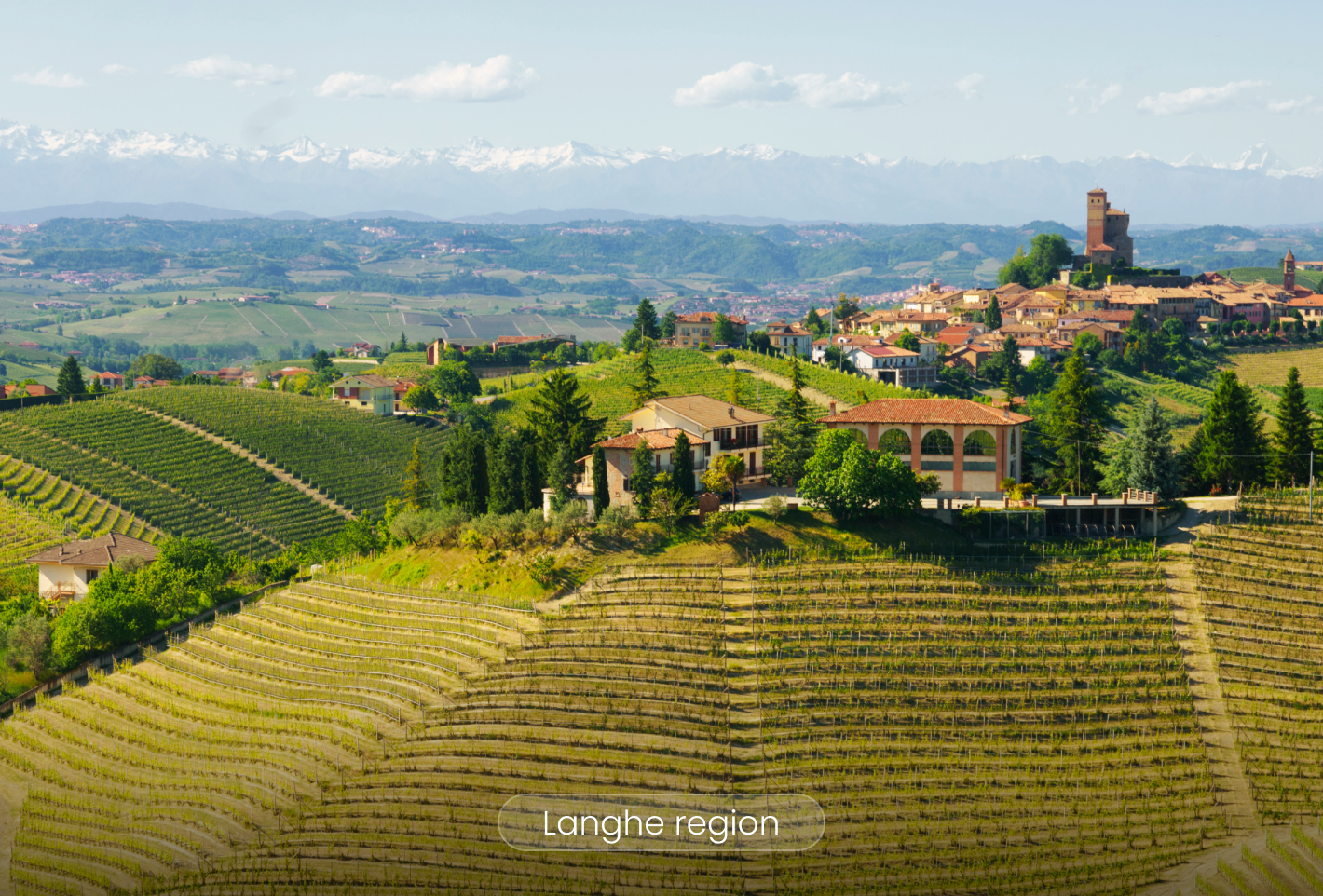 Langhe region
